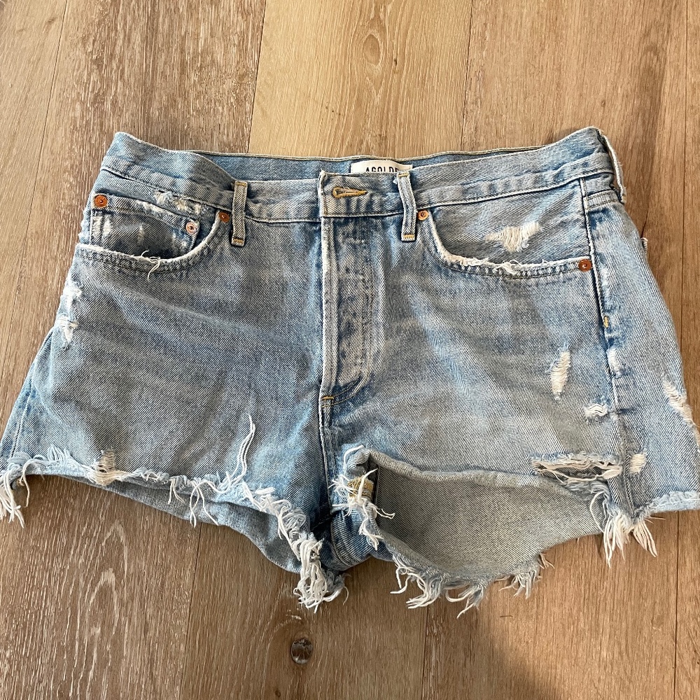 Agolde Parker Vintage Swampmeet